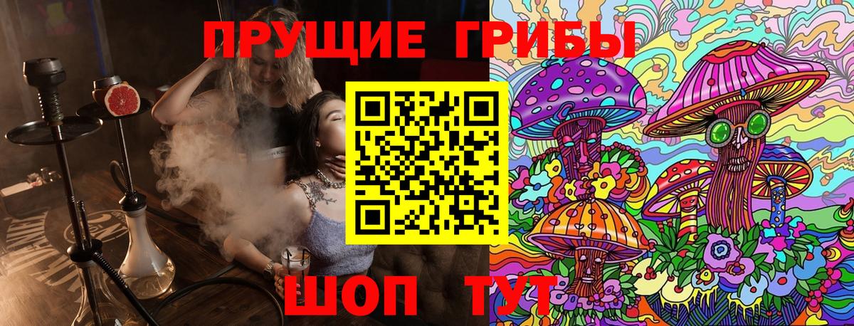 Галлюциногенные грибы Psilocybine cubensis Добрянка